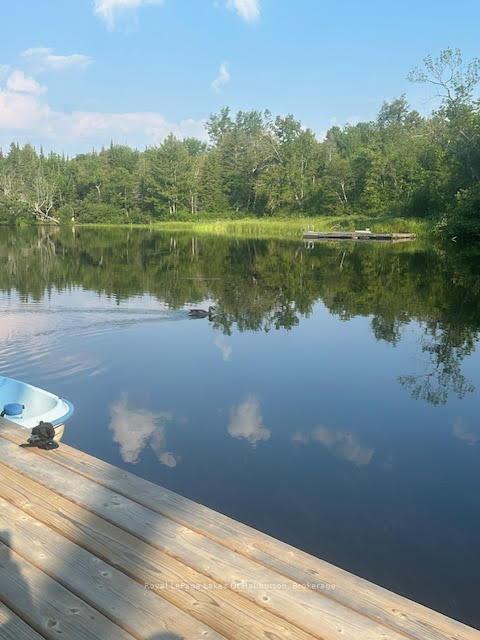 Photo 45 of 1026 Pine Needle Trail, Algonquin Highlands, Stanhope — HOMEH