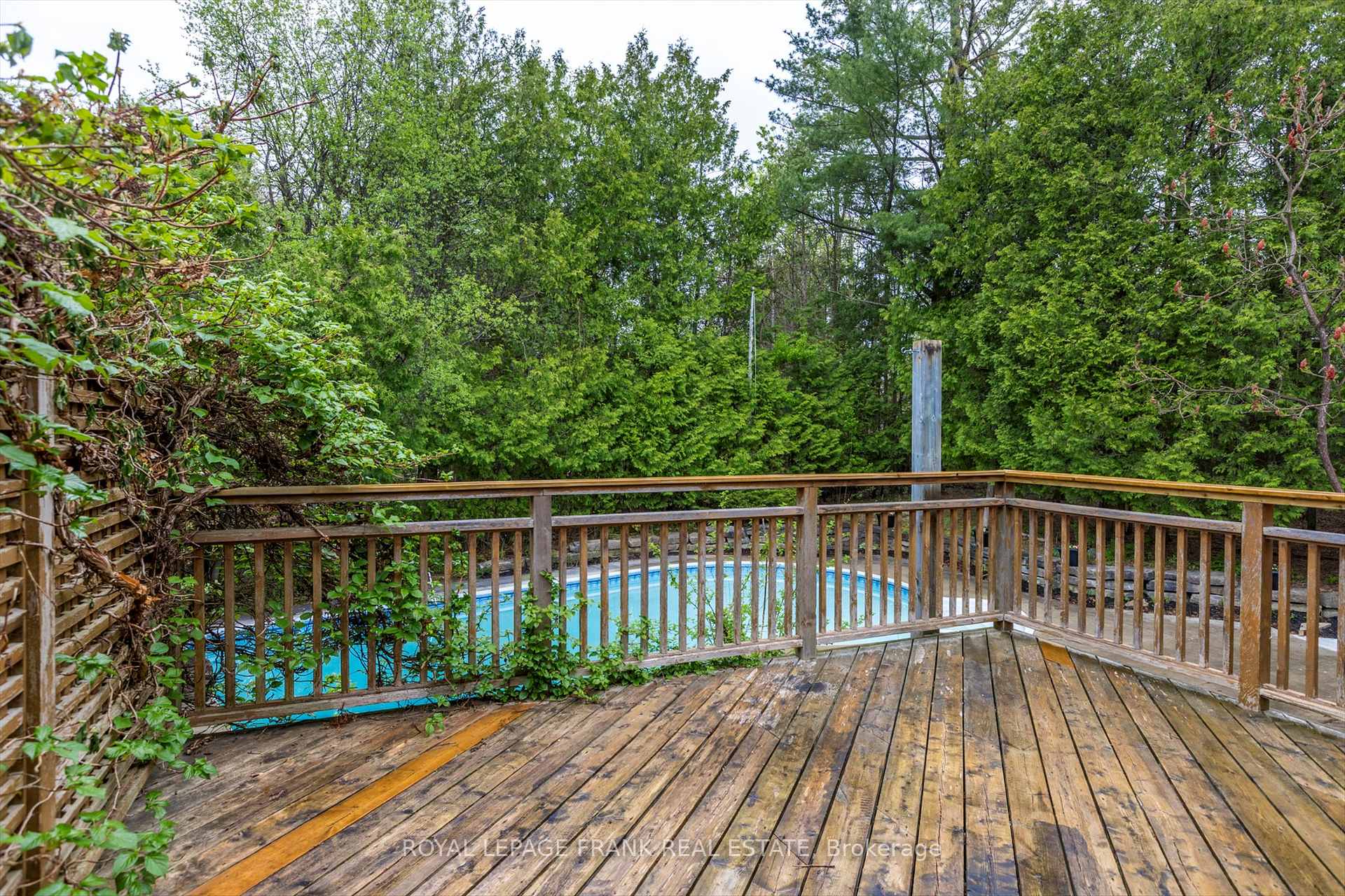 Photo 35 of 17 Claudette Court, Peterborough, Monaghan Ward 2 — HOMEH