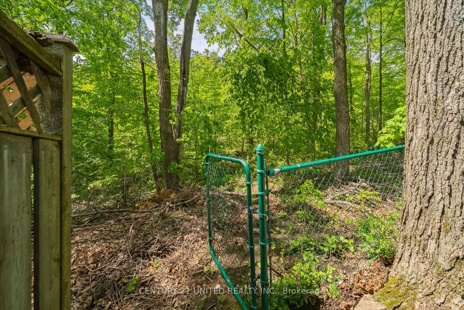 Photo 47 of 1345 Hetherington Drive, Peterborough, Northcrest Ward 5 — HOMEH