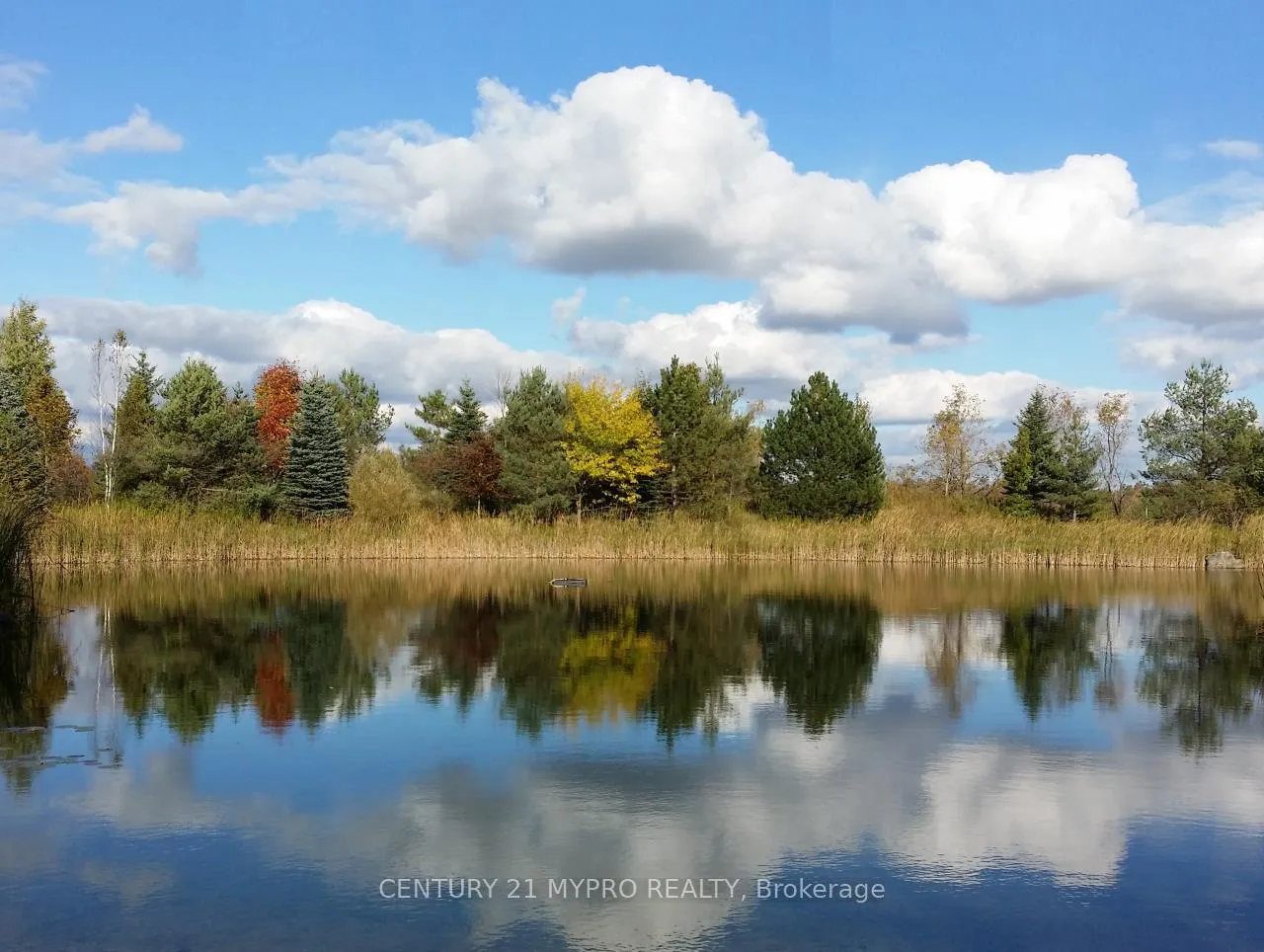 Photo 8 of 12382 Fifth Line, Milton, Rural Nassagaweya — HOMEH