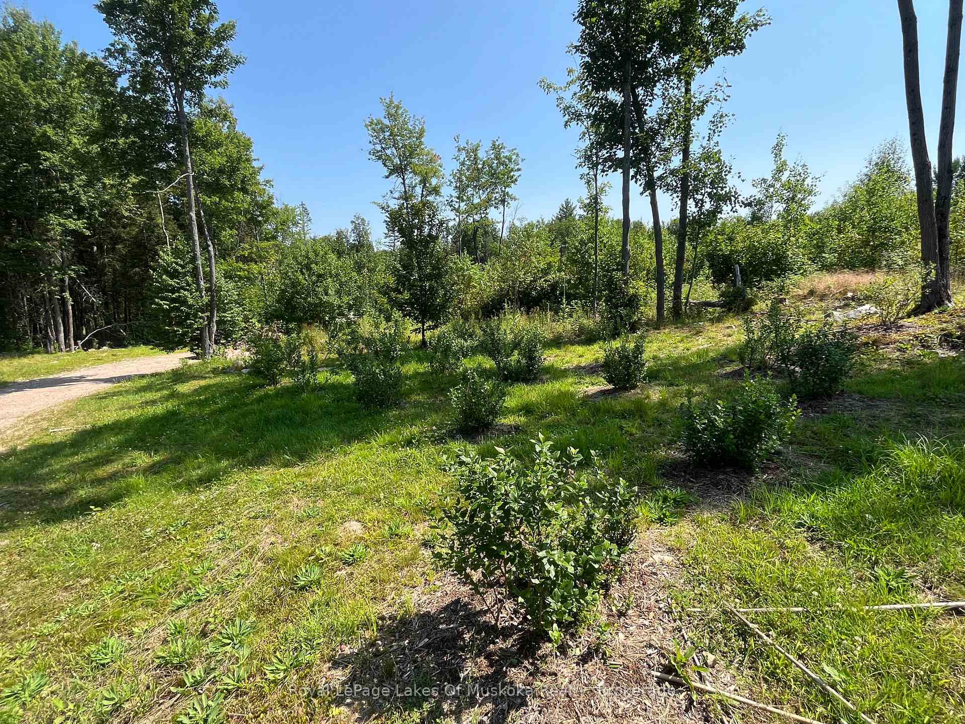 Photo 4 of 2320 Peddlers Drive, Calvin — HOMEH