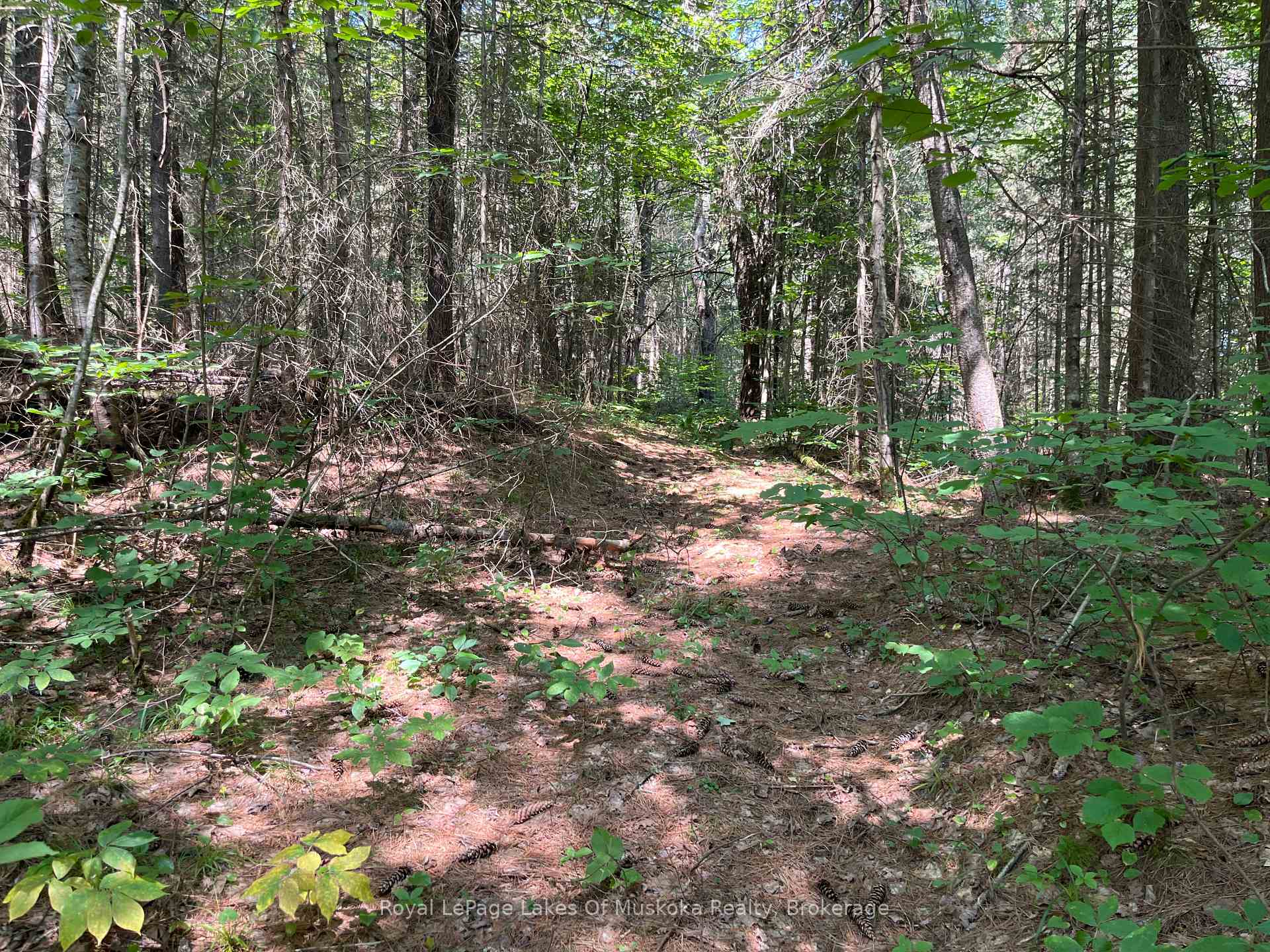 Photo 8 of 2320 Peddlers Drive, Calvin — HOMEH
