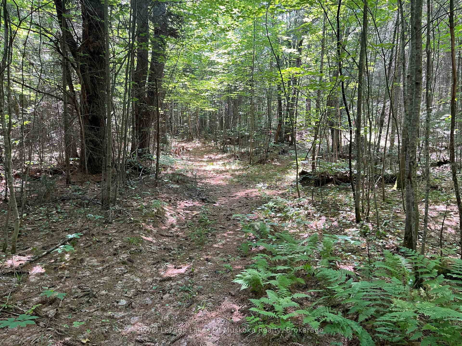 Photo 11 of 2320 Peddlers Drive, Calvin — HOMEH