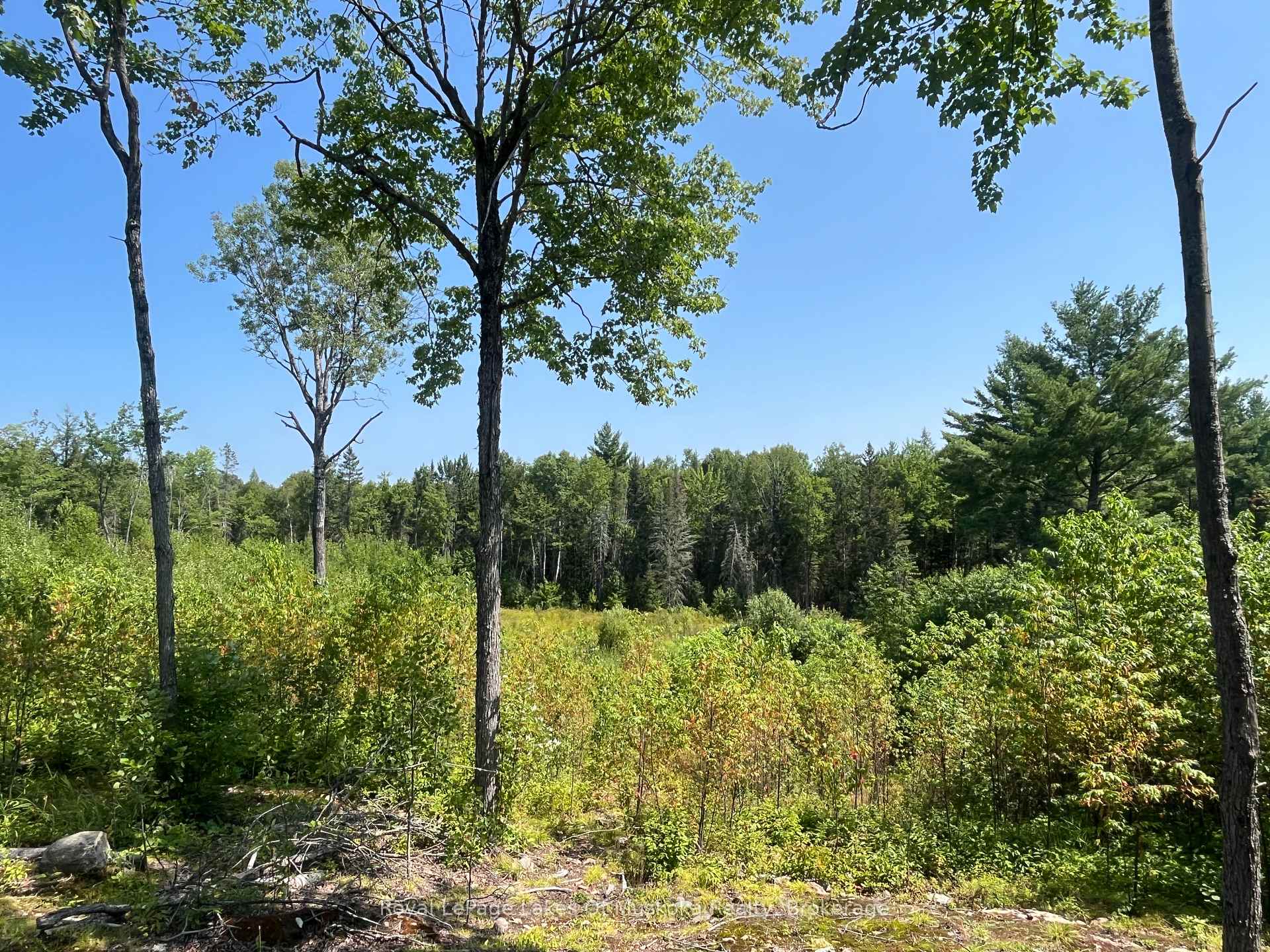 Photo 17 of 2320 Peddlers Drive, Calvin — HOMEH
