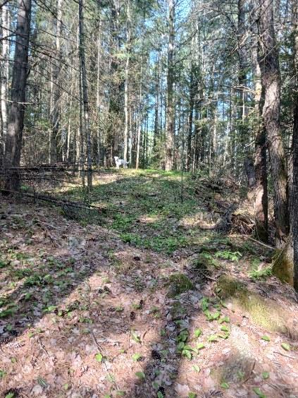 Photo 23 of 2320 Peddlers Drive, Calvin — HOMEH