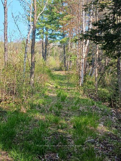 Photo 25 of 2320 Peddlers Drive, Calvin — HOMEH
