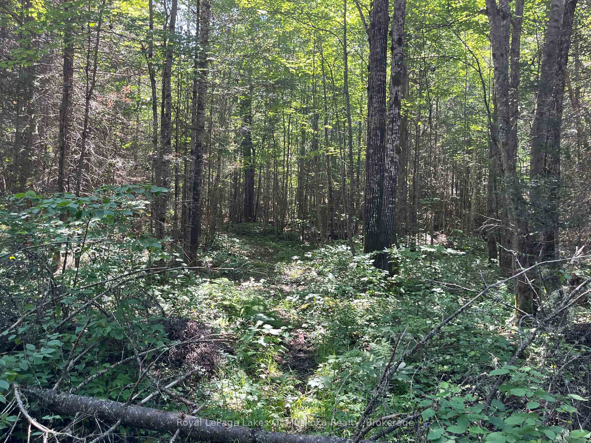 Photo 33 of 2320 Peddlers Drive, Calvin — HOMEH