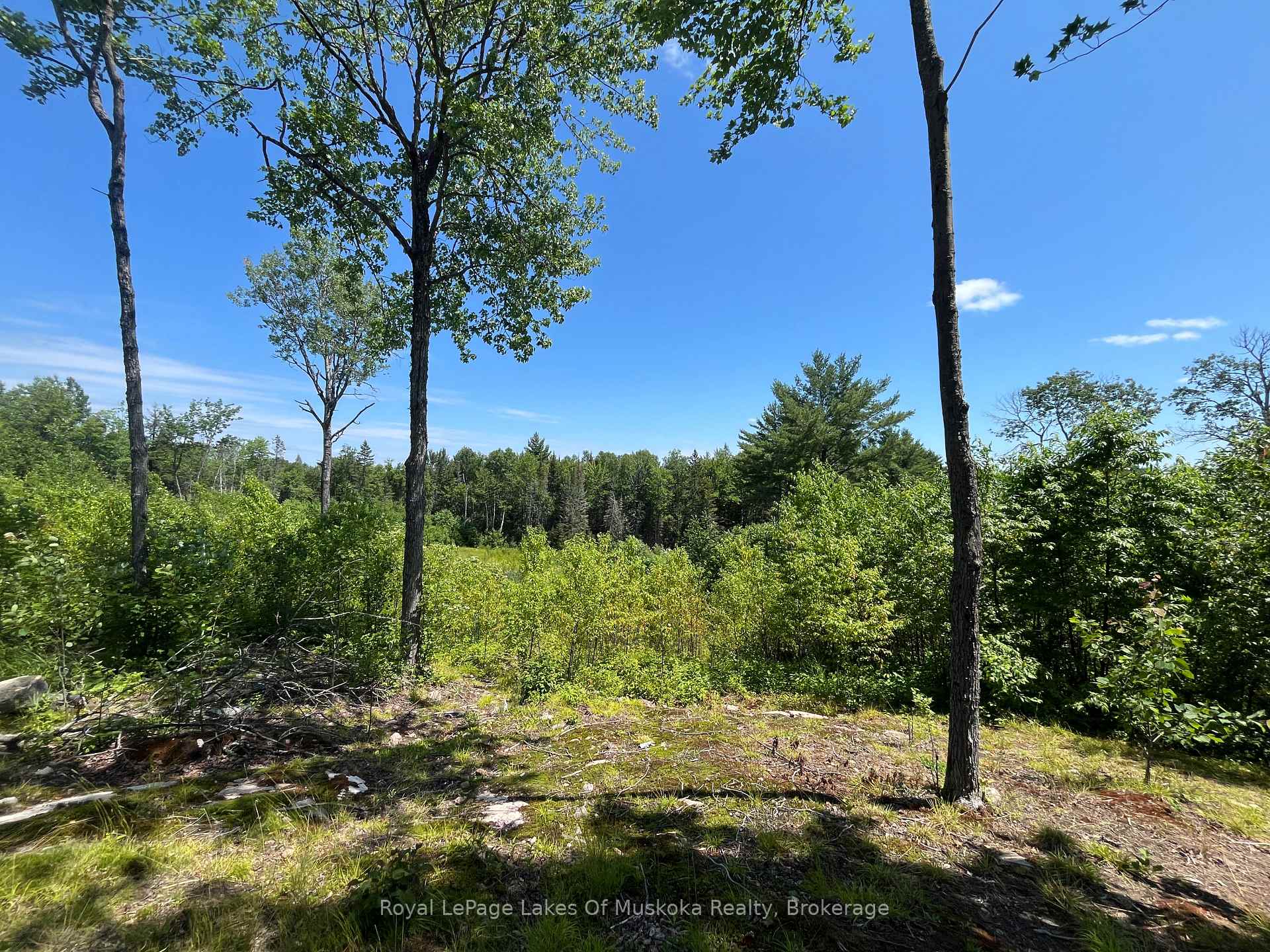 Photo 39 of 2320 Peddlers Drive, Calvin — HOMEH