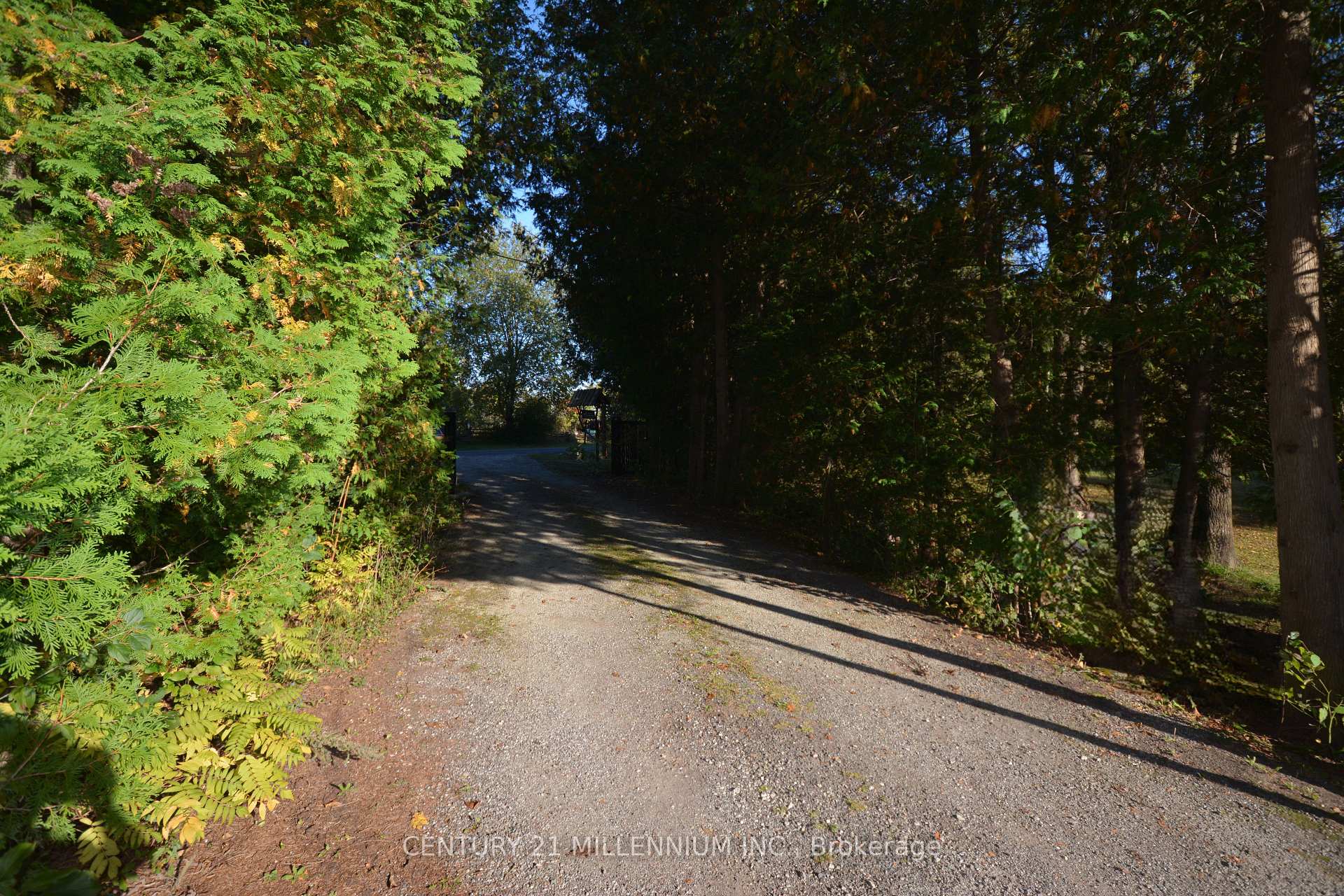 Photo 33 of 12536 Fifth Line, Milton, Rural Nassagaweya — HOMEH