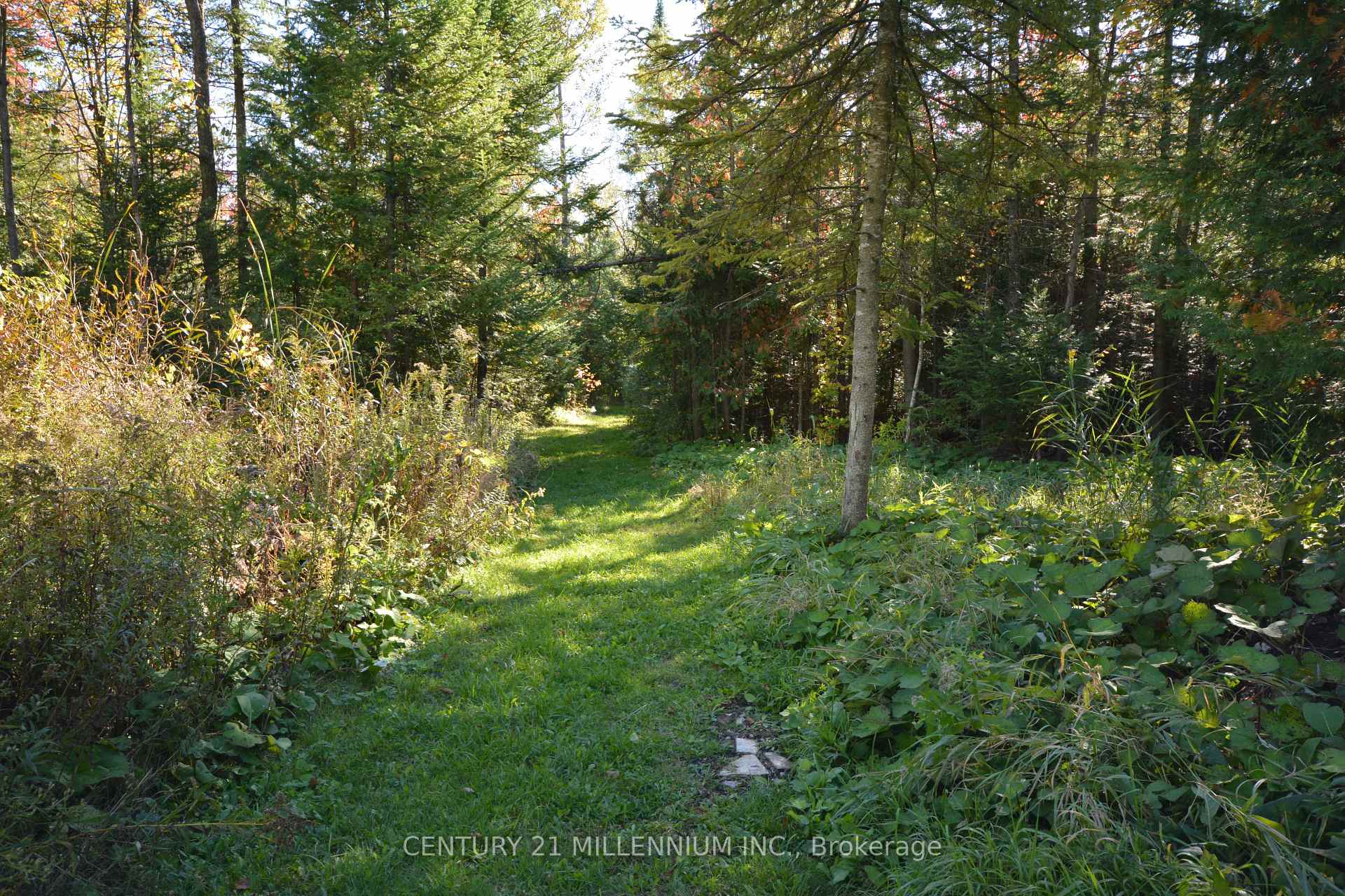 Photo 37 of 12536 Fifth Line, Milton, Rural Nassagaweya — HOMEH