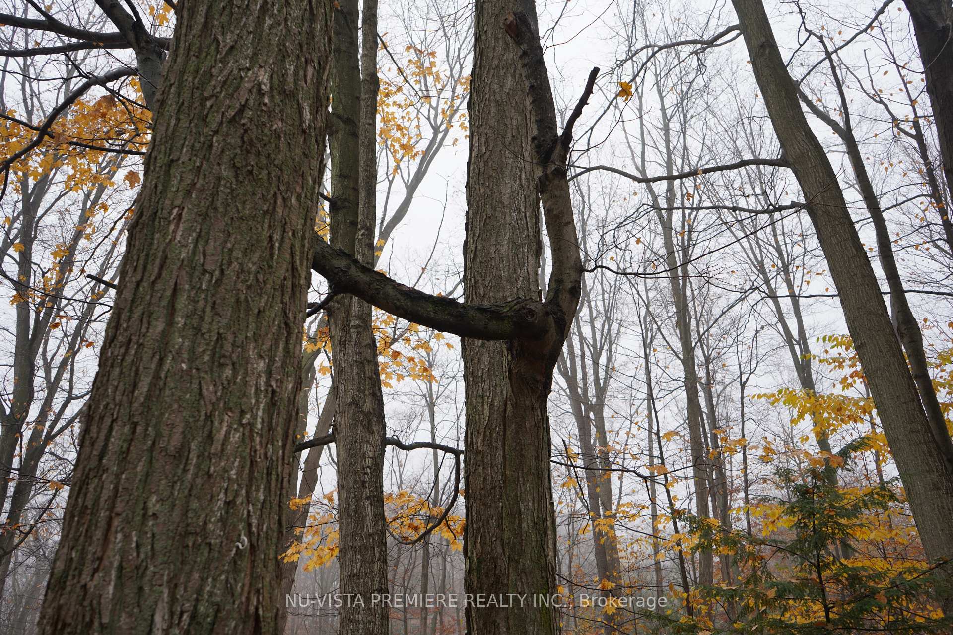 Photo 18 of Unit 69, 76735 Wildwood Line, Bluewater, Stanley — HOMEH