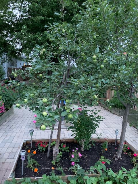 Photo 35 of 7 Woods Avenue, Kawartha Lakes, Omemee — HOMEH