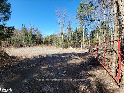 Photo 12 of Highway 35, Kawartha Lakes, Ridout — HOMEH