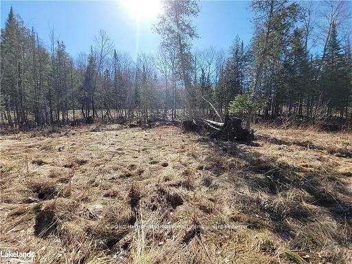 Photo 15 of Highway 35, Kawartha Lakes, Ridout — HOMEH