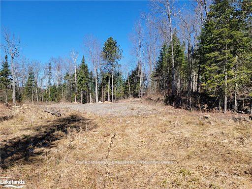Photo 16 of Highway 35, Kawartha Lakes, Ridout — HOMEH