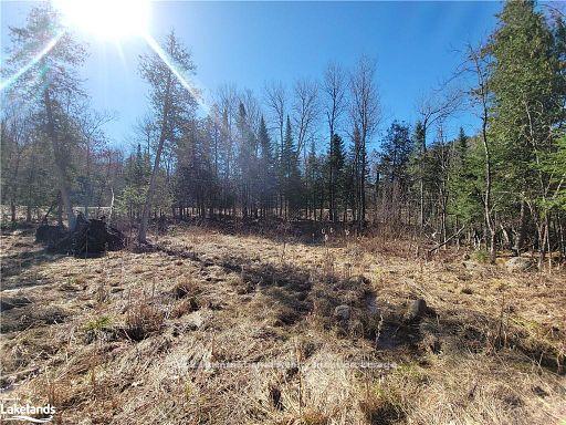 Photo 17 of Highway 35, Kawartha Lakes, Ridout — HOMEH