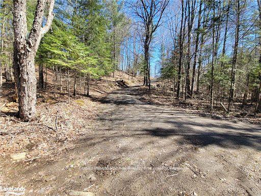 Photo 19 of Highway 35, Kawartha Lakes, Ridout — HOMEH