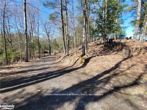 Photo 20 of Highway 35, Kawartha Lakes, Ridout — HOMEH