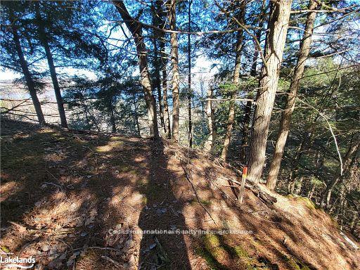 Photo 25 of Highway 35, Kawartha Lakes, Ridout — HOMEH