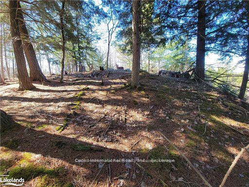 Photo 26 of Highway 35, Kawartha Lakes, Ridout — HOMEH