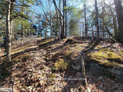 Photo 27 of Highway 35, Kawartha Lakes, Ridout — HOMEH