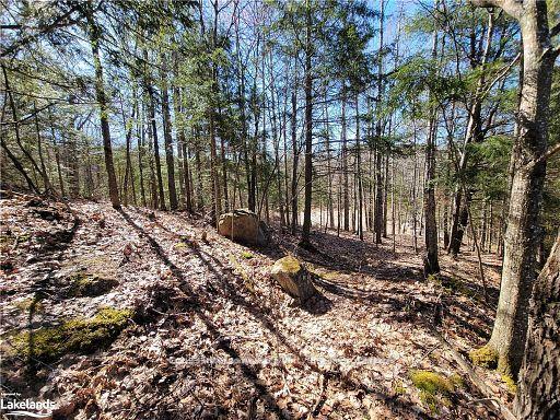 Photo 28 of Highway 35, Kawartha Lakes, Ridout — HOMEH