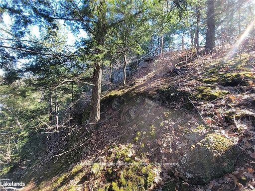 Photo 29 of Highway 35, Kawartha Lakes, Ridout — HOMEH