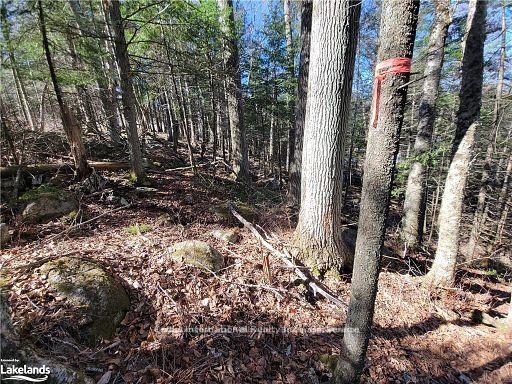 Photo 30 of Highway 35, Kawartha Lakes, Ridout — HOMEH