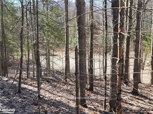 Photo 32 of Highway 35, Kawartha Lakes, Ridout — HOMEH