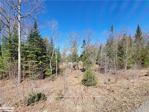 Photo 39 of Highway 35, Kawartha Lakes, Ridout — HOMEH