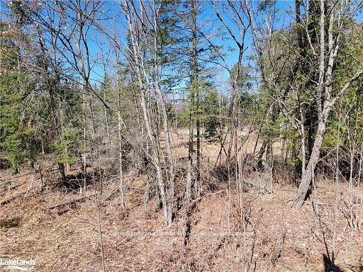 Photo 40 of Highway 35, Kawartha Lakes, Ridout — HOMEH