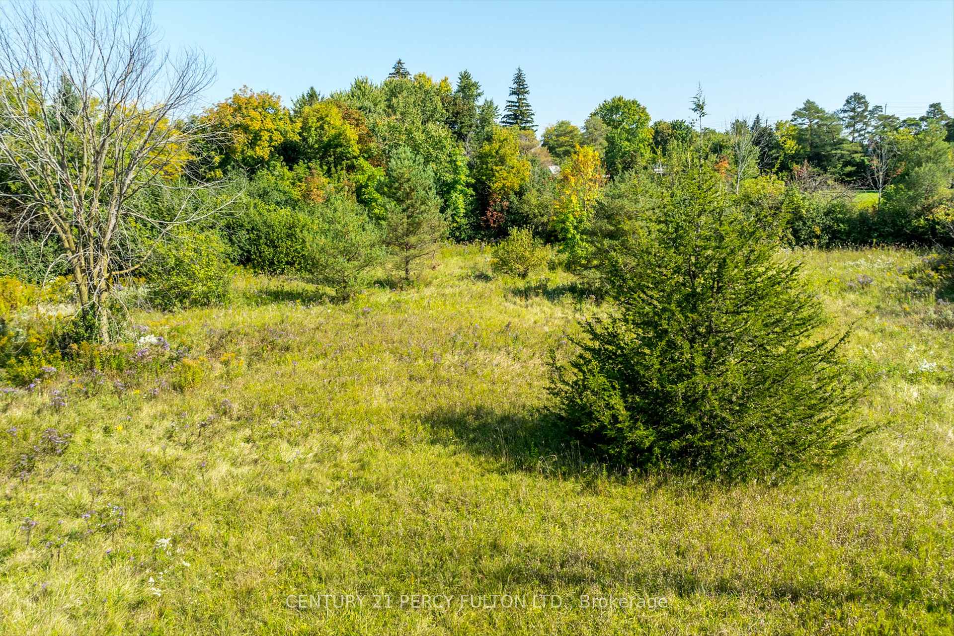 Photo 8 of Eastview Road, Kawartha Lakes, Lindsay — HOMEH
