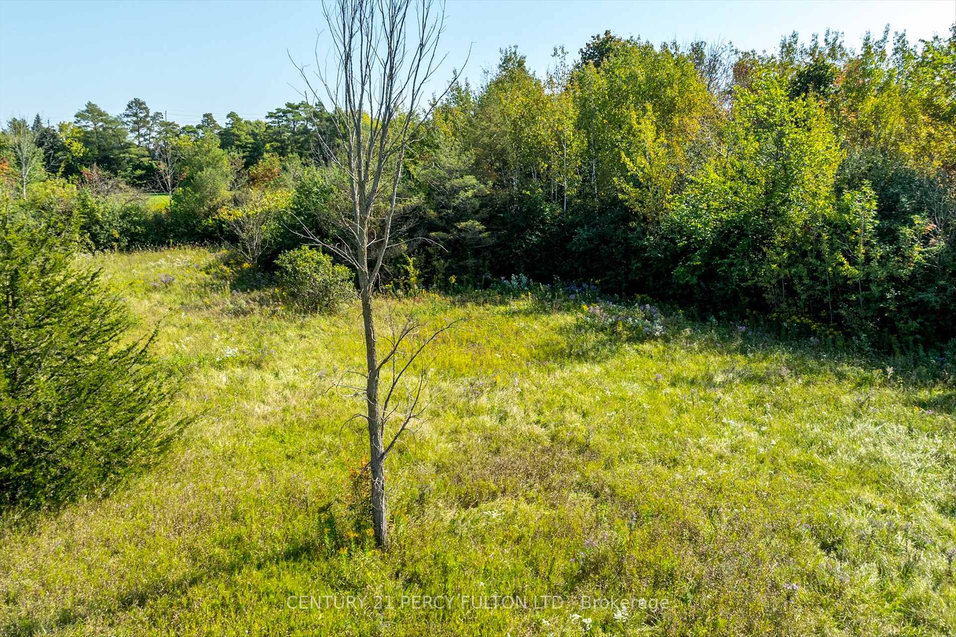 Photo 9 of Eastview Road, Kawartha Lakes, Lindsay — HOMEH