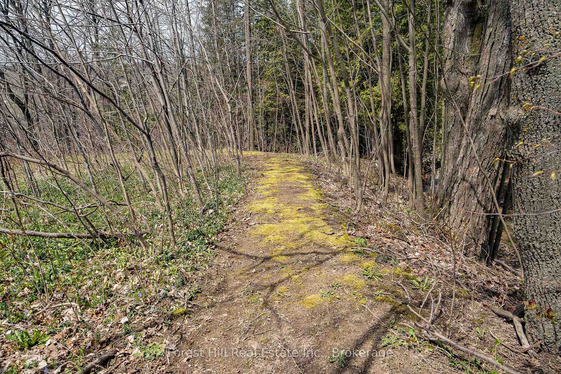 Photo 6 of 194844 13 Grey Road, Grey Highlands — HOMEH