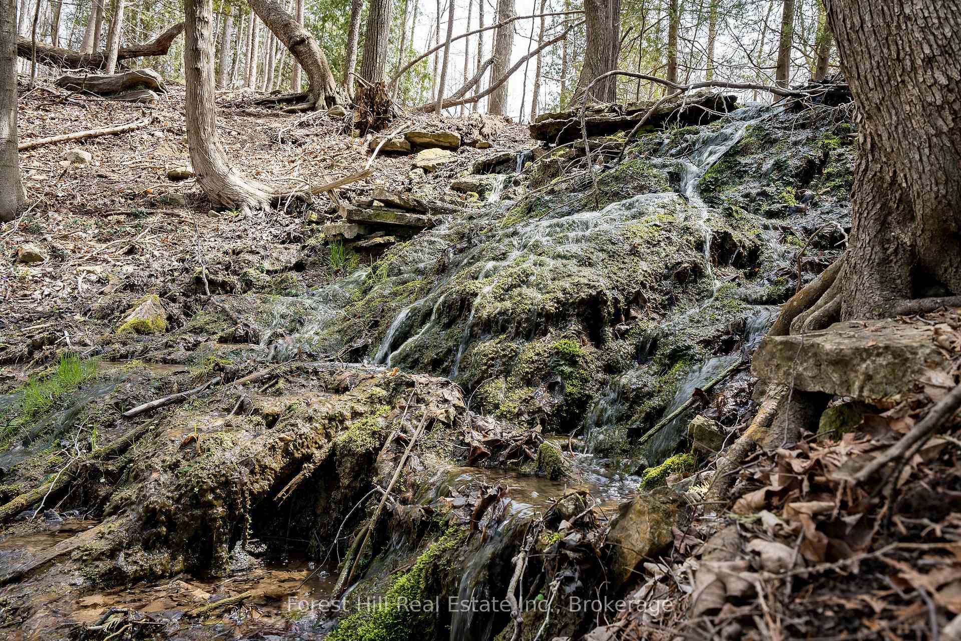 Photo 7 of 194844 13 Grey Road, Grey Highlands — HOMEH
