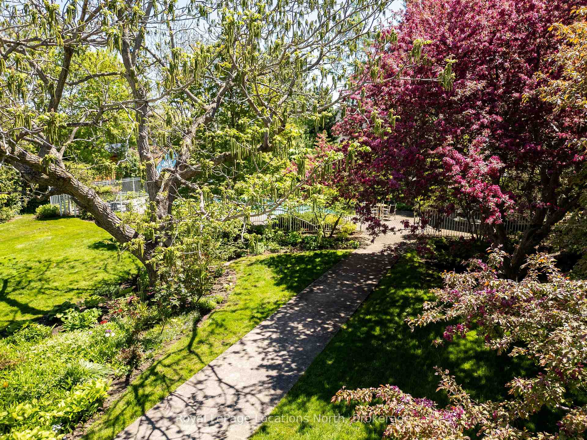 Photo 38 of 145 Bruce Street S, Blue Mountains — HOMEH