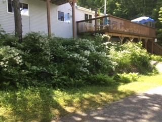 Photo 35 of 19205 Hwy 35, Algonquin Highlands, Stanhope — HOMEH