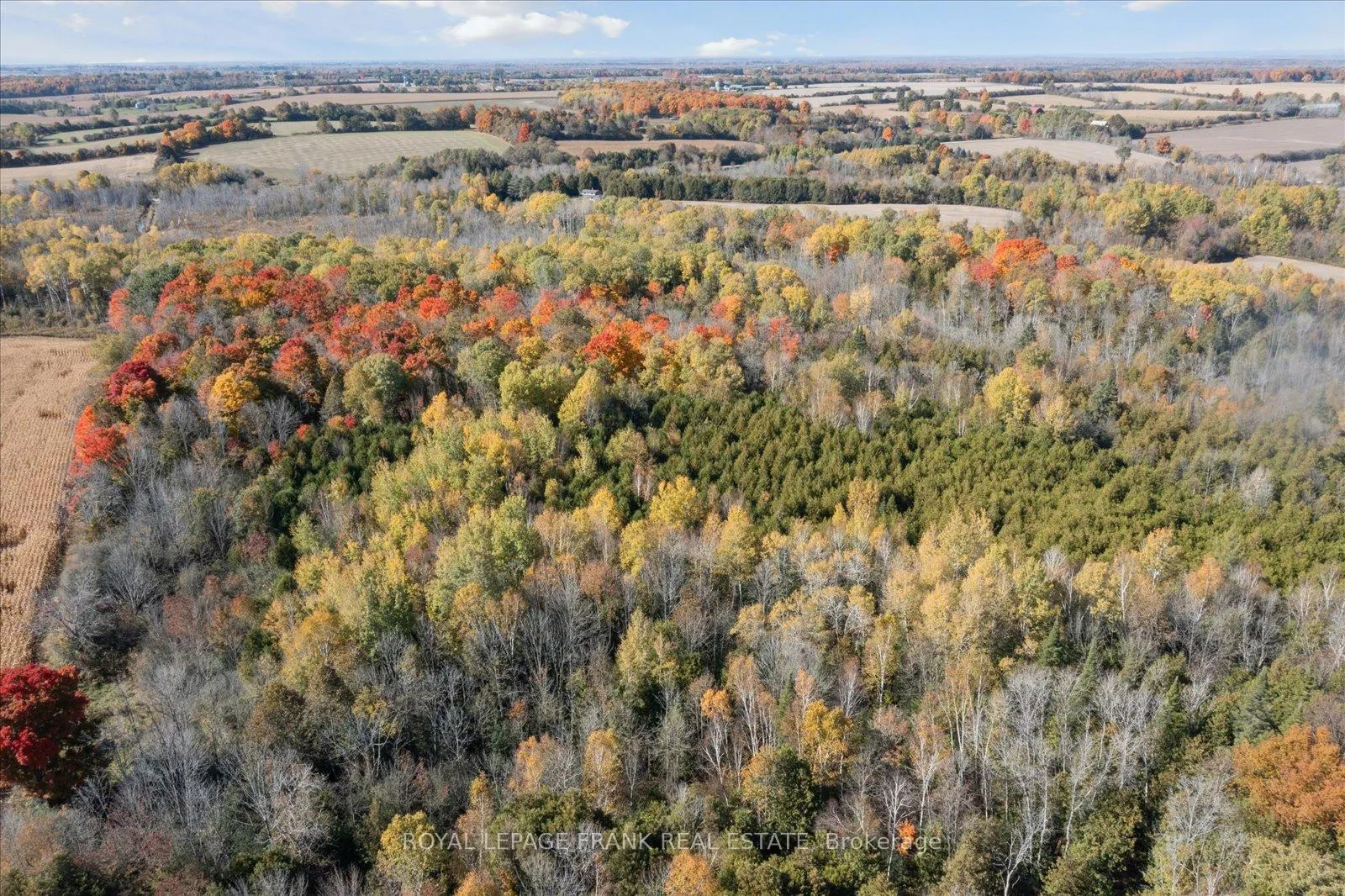 Photo 6 of PT LT 7 CON 6 Brock, Brock, Rural Brock — HOMEH