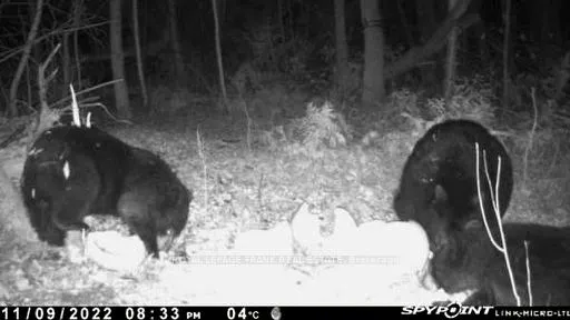 Photo 14 of PT LT 7 CON 6 Brock, Brock, Rural Brock — HOMEH