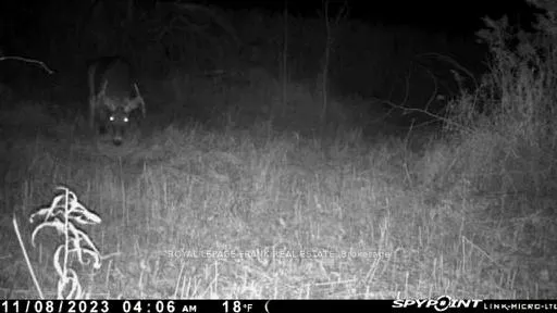 Photo 16 of PT LT 7 CON 6 Brock, Brock, Rural Brock — HOMEH