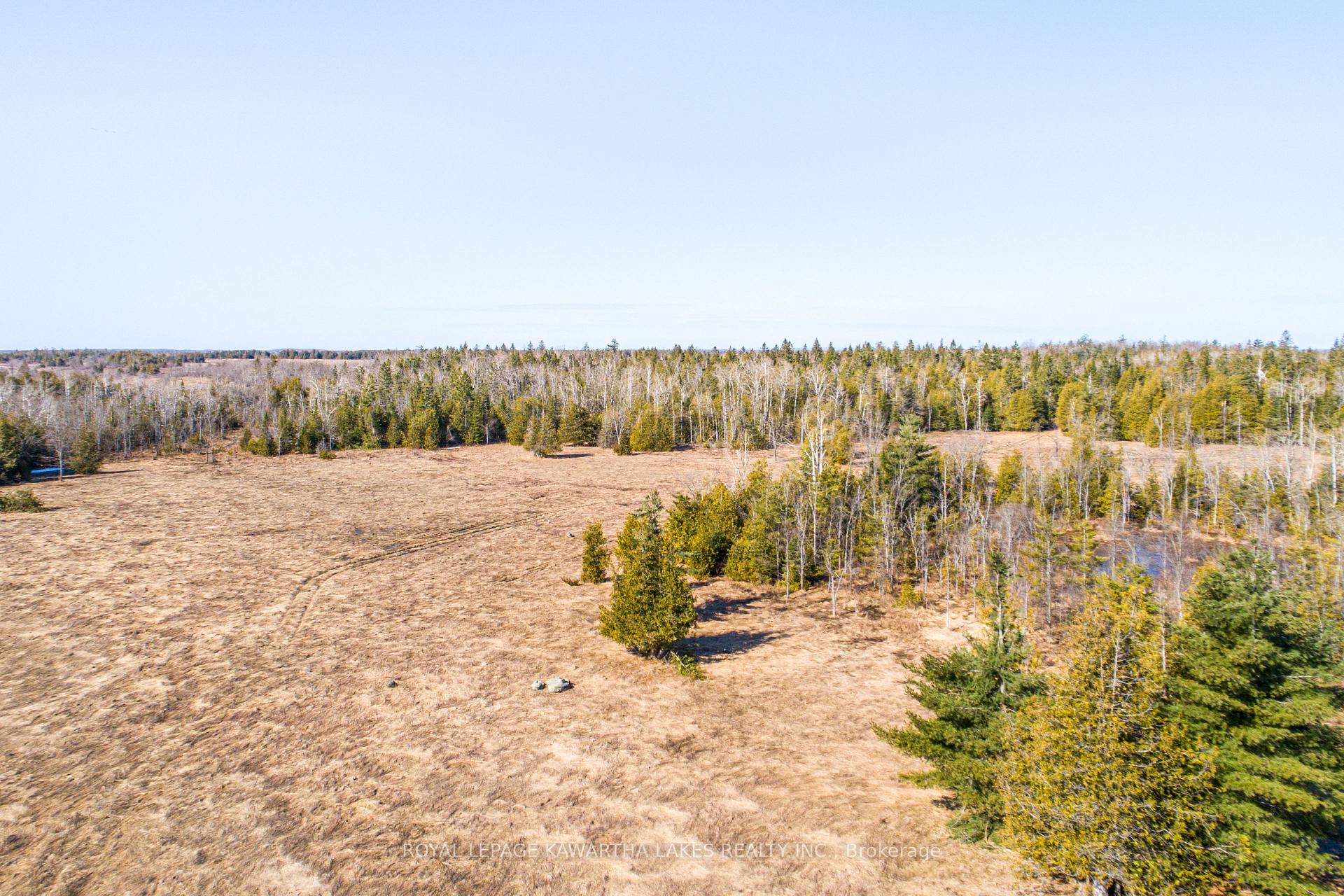 Photo 42 of 385 Shrike Road, Kawartha Lakes, Carden — HOMEH
