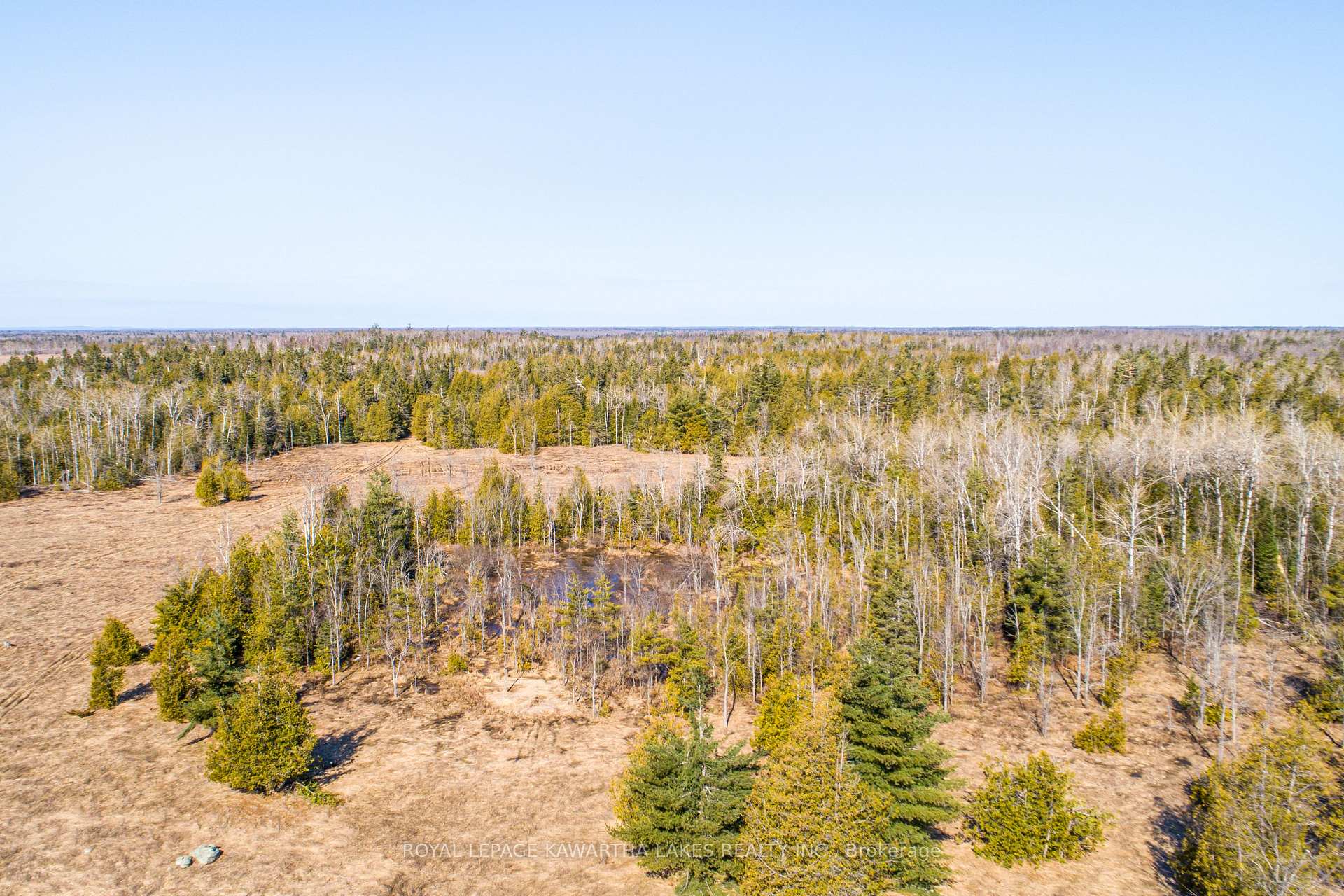 Photo 43 of 385 Shrike Road, Kawartha Lakes, Carden — HOMEH