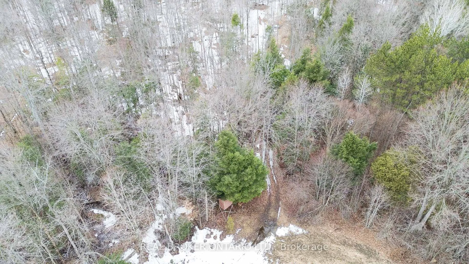 Photo 5 of 000 Dukelow Road, Augusta, Augusta Twp — HOMEH