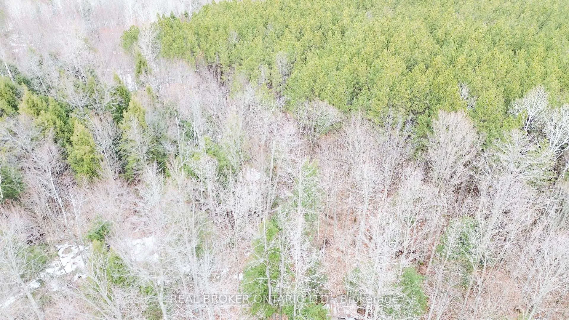 Photo 6 of 000 Dukelow Road, Augusta, Augusta Twp — HOMEH