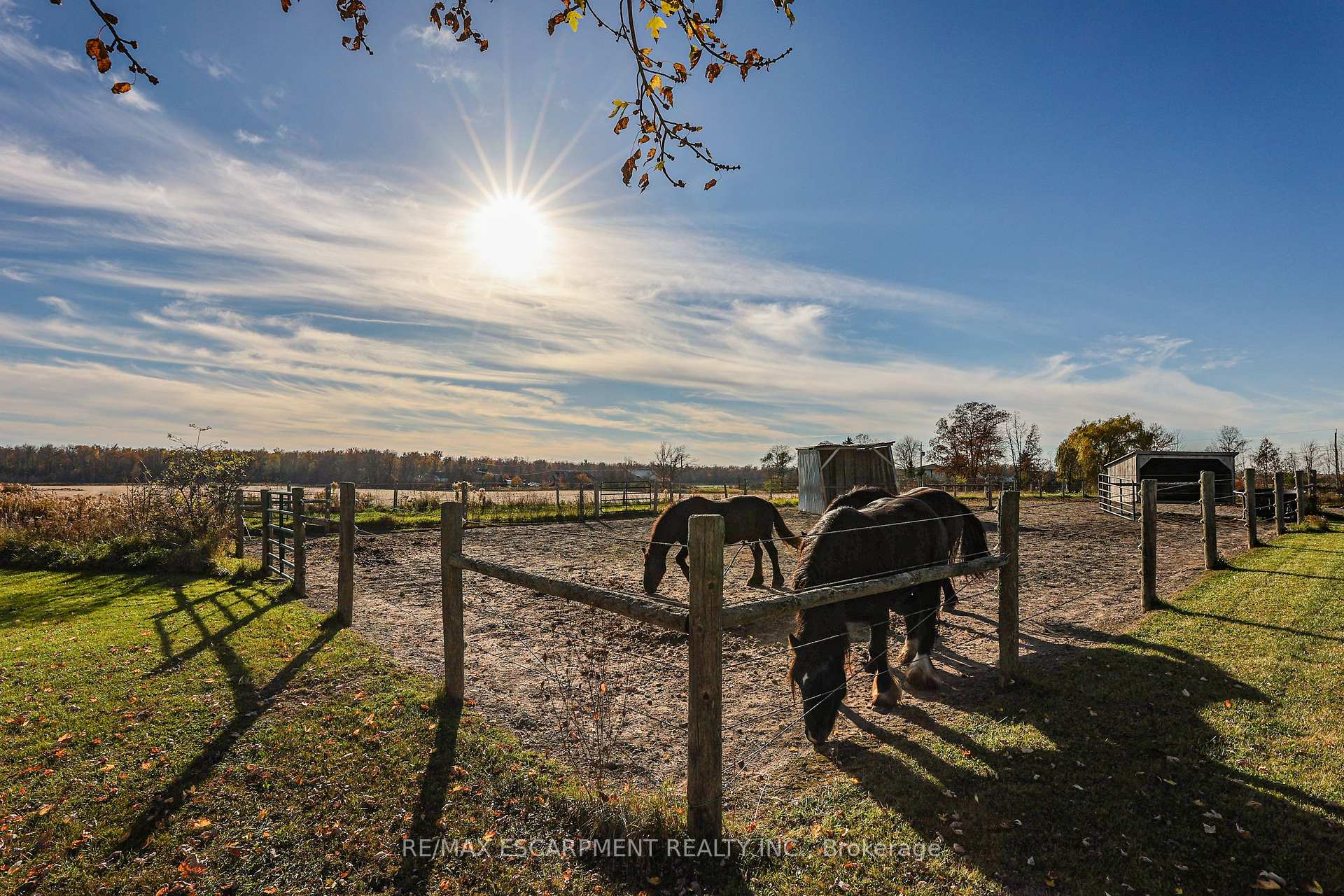 Photo 3 of 331 Russ Road, Grimsby, Grimsby Escarpment — HOMEH
