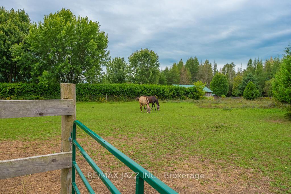 Photo 34 of 243 Cameron Road, Kawartha Lakes, Fenelon — HOMEH