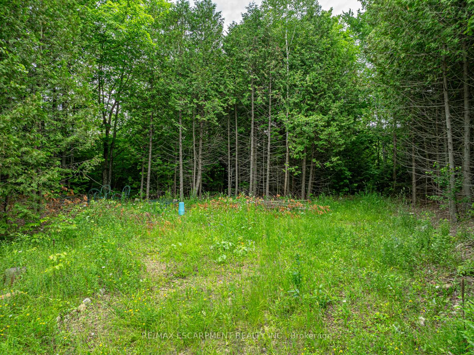 Photo 2 of LOT 31 8th Concession B, Grey Highlands — HOMEH