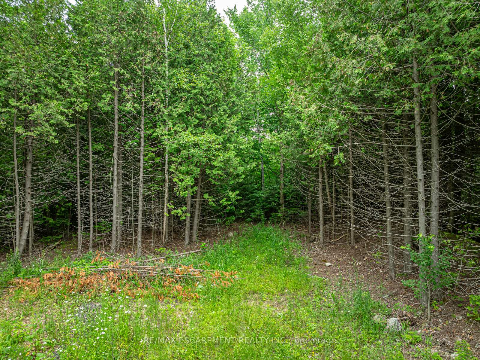 Photo 3 of LOT 31 8th Concession B, Grey Highlands — HOMEH