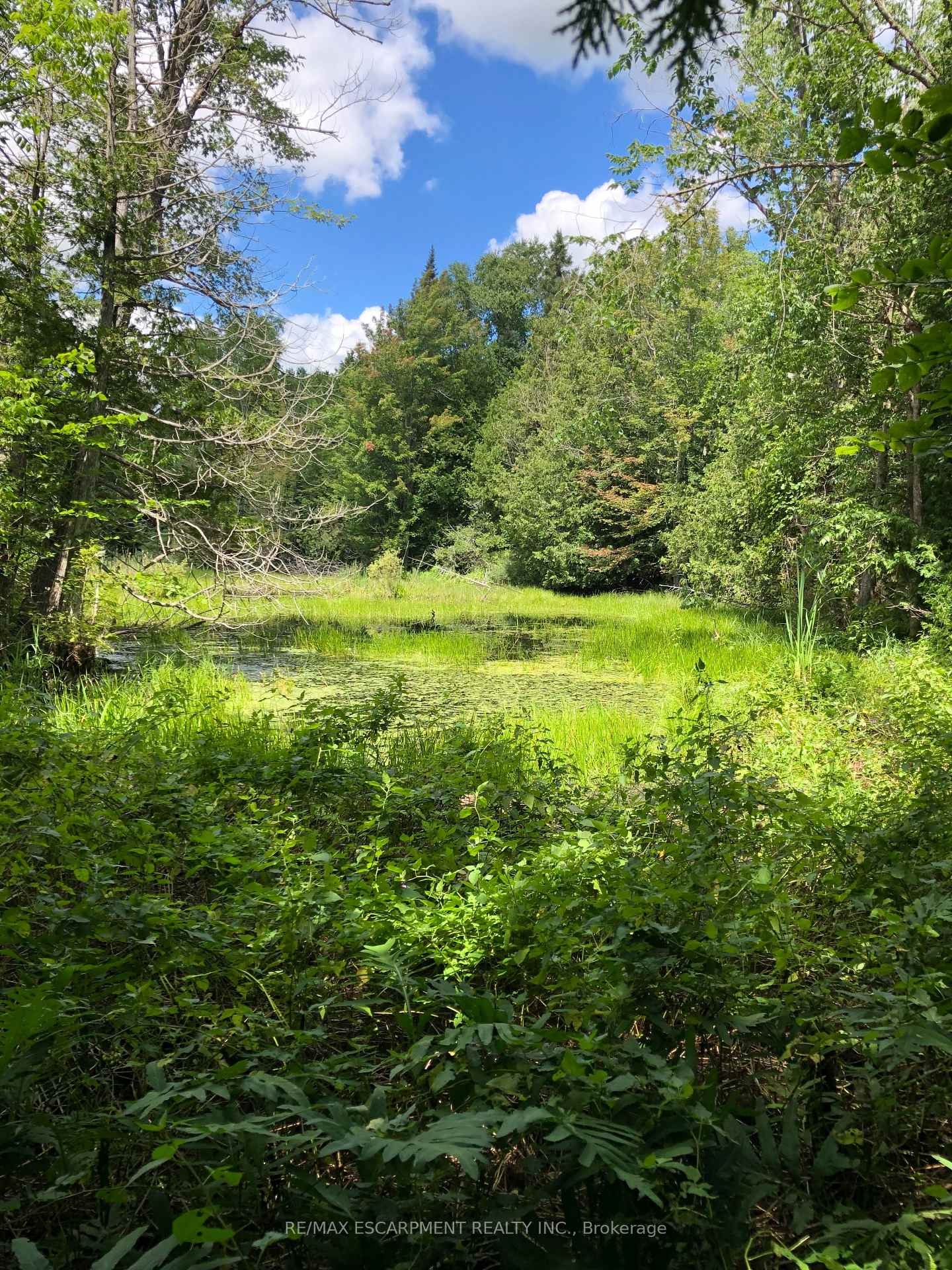 Photo 6 of LOT 31 8th Concession B, Grey Highlands — HOMEH