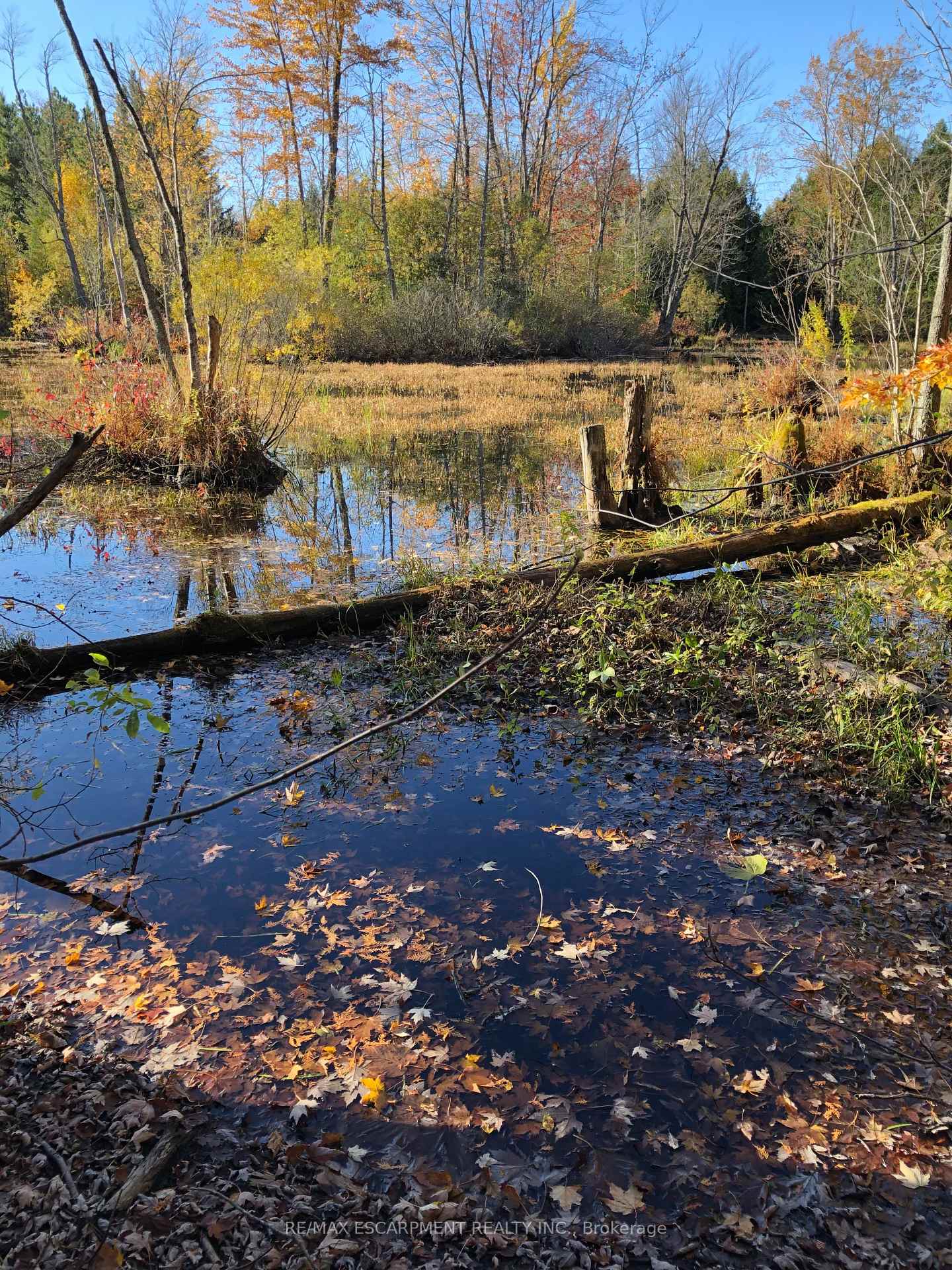 Photo 7 of LOT 31 8th Concession B, Grey Highlands — HOMEH